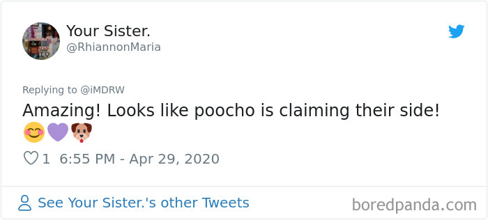 Woman Documents Her Daughter Turning A Spare Room Into A House For Their Dogs Woman Documents Her Daughter Turning A Spare Room Into A House For Their Dogs