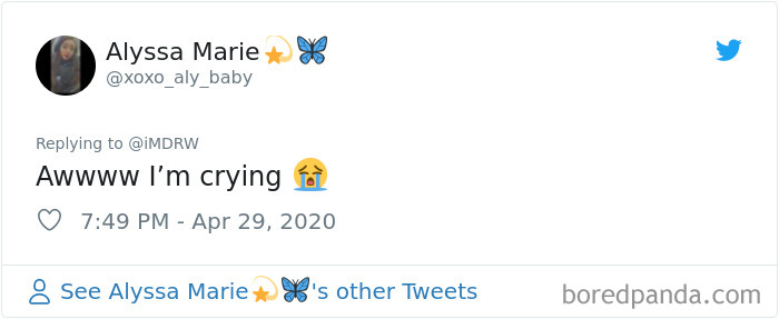 Woman Documents Her Daughter Turning A Spare Room Into A House For Their Dogs Woman Documents Her Daughter Turning A Spare Room Into A House For Their Dogs