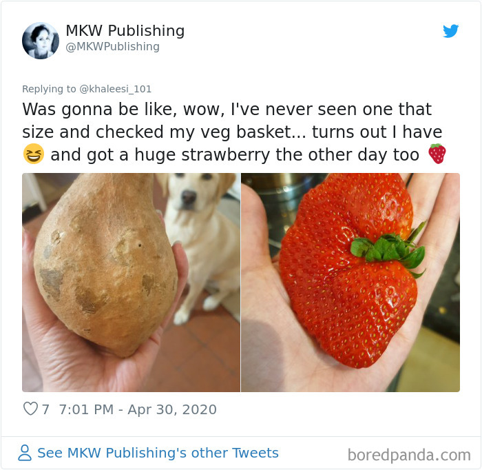 Giant-Produce-Food-Delivery-Quarantine