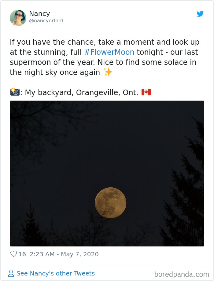 Super-Flower-Moon-May-2020