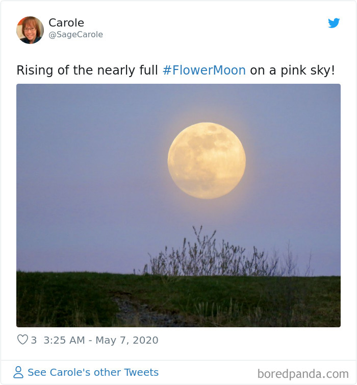 Super-Flower-Moon-May-2020