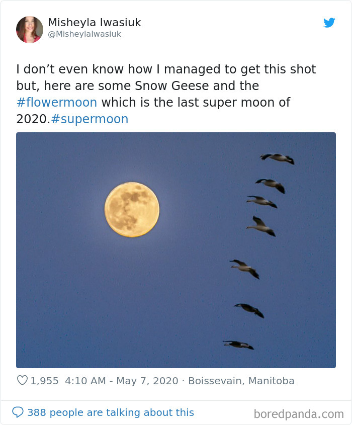 Super-Flower-Moon-May-2020