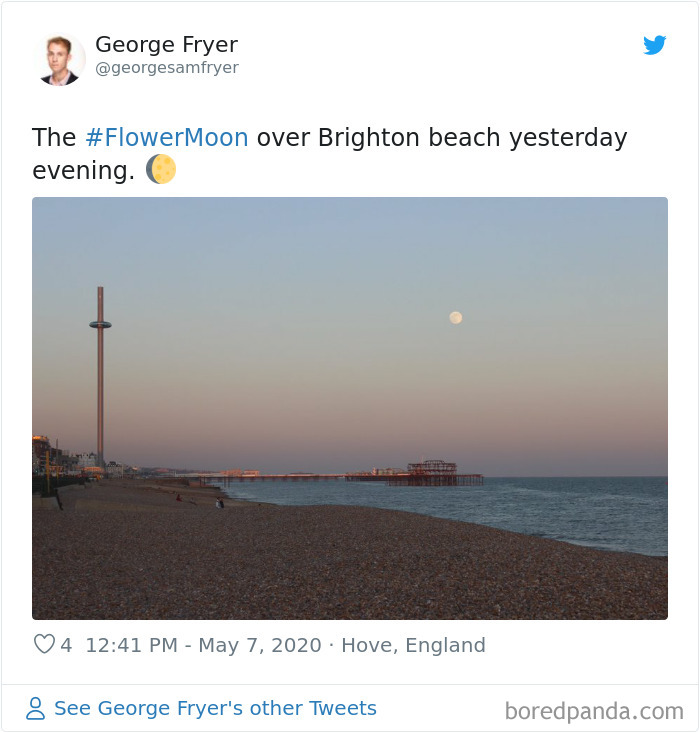 Super-Flower-Moon-May-2020