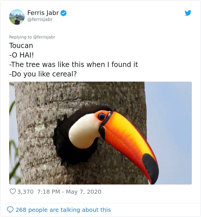 Toucan