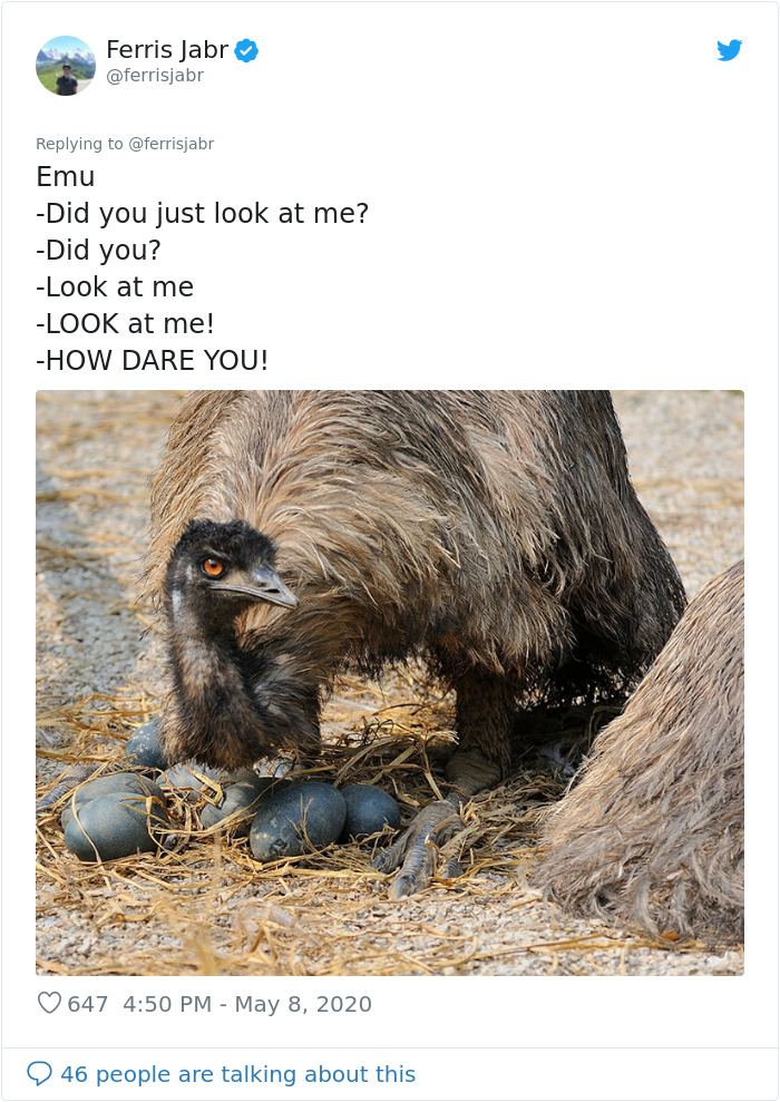 Emu
