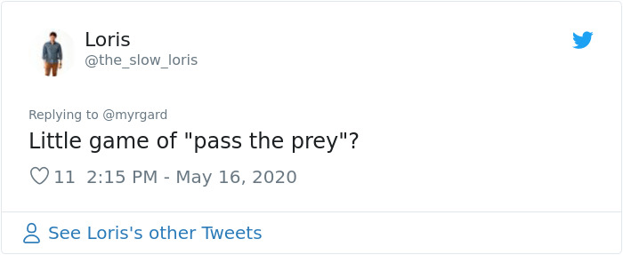 Photographer Captured Two Northern Harriers Exchanging Prey Mid-Air Photographer Captured Two Northern Harriers Exchanging Prey Mid-Air