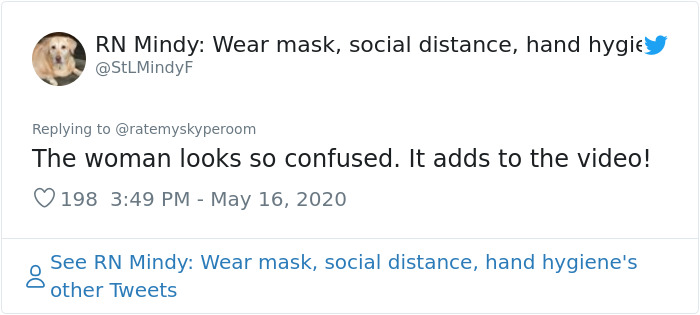 Reporter Can Barely Contain Herself After Her Cats Start Fighting In The Middle Of A Live Broadcast