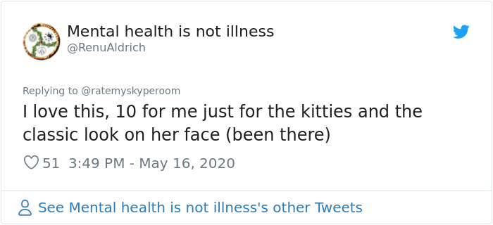 Reporter Can Barely Contain Herself After Her Cats Start Fighting In The Middle Of A Live Broadcast