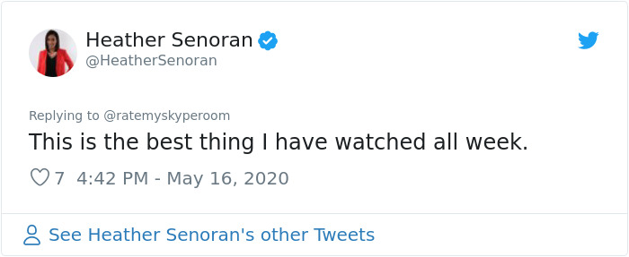 Reporter Can Barely Contain Herself After Her Cats Start Fighting In The Middle Of A Live Broadcast