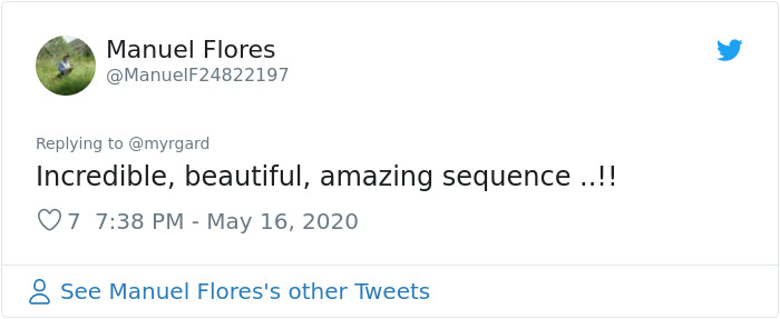 Photographer Captured Two Northern Harriers Exchanging Prey Mid-Air Photographer Captured Two Northern Harriers Exchanging Prey Mid-Air