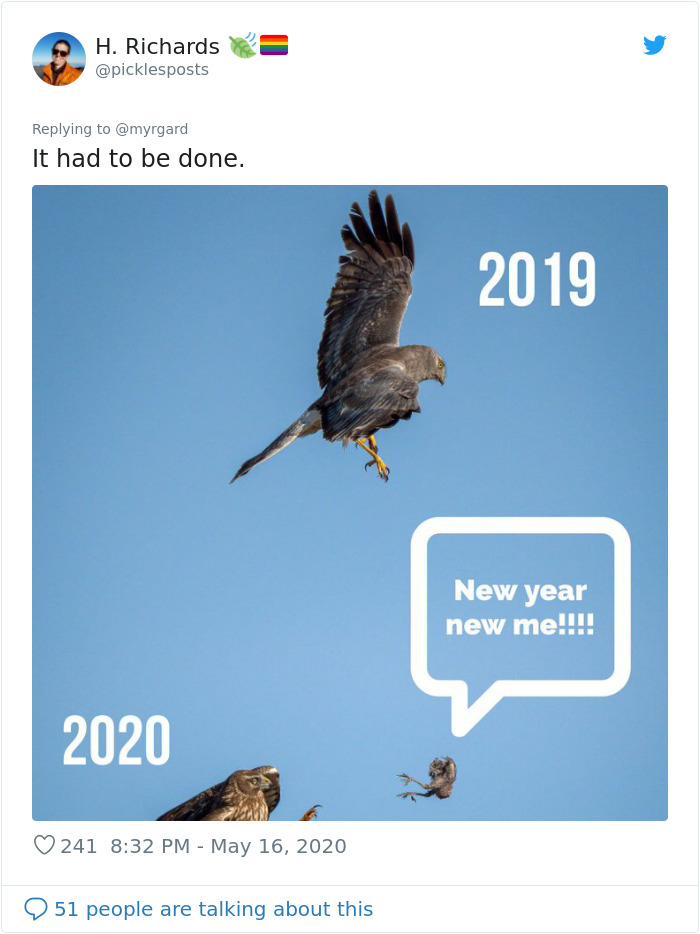 Photographer Captured Two Northern Harriers Exchanging Prey Mid-Air Photographer Captured Two Northern Harriers Exchanging Prey Mid-Air