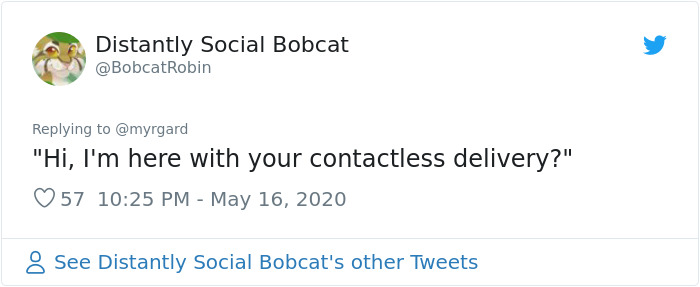 Photographer Captured Two Northern Harriers Exchanging Prey Mid-Air Photographer Captured Two Northern Harriers Exchanging Prey Mid-Air