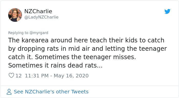 Photographer Captured Two Northern Harriers Exchanging Prey Mid-Air Photographer Captured Two Northern Harriers Exchanging Prey Mid-Air