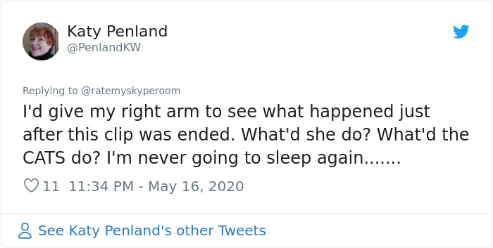 Reporter Can Barely Contain Herself After Her Cats Start Fighting In The Middle Of A Live Broadcast