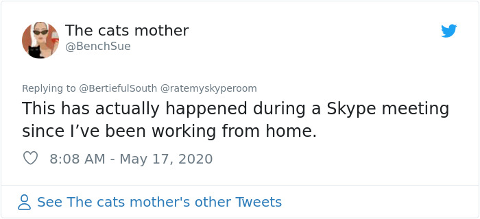 Reporter Can Barely Contain Herself After Her Cats Start Fighting In The Middle Of A Live Broadcast