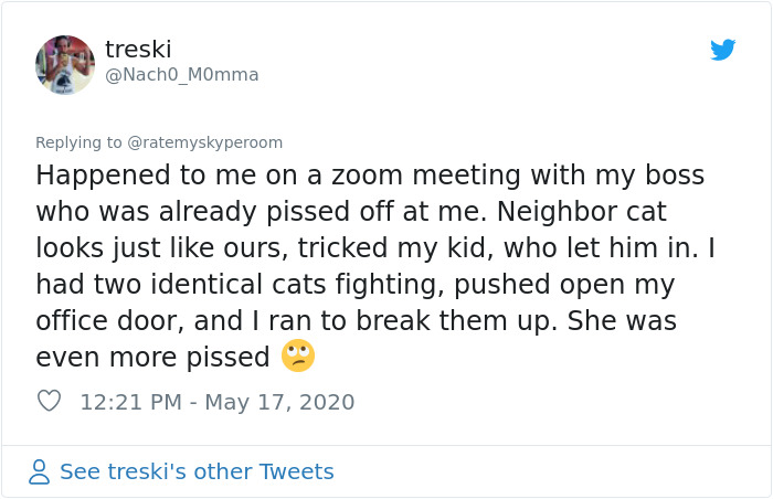 Reporter Can Barely Contain Herself After Her Cats Start Fighting In The Middle Of A Live Broadcast