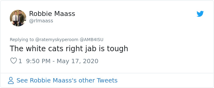 Reporter Can Barely Contain Herself After Her Cats Start Fighting In The Middle Of A Live Broadcast