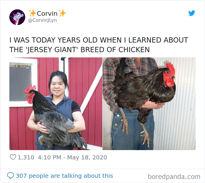 Today-Years-Old-People-Share-Facts