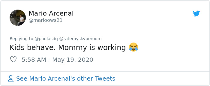 Reporter Can Barely Contain Herself After Her Cats Start Fighting In The Middle Of A Live Broadcast