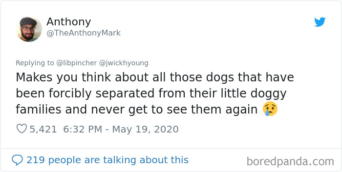 Dogs From The Same Litter Recognize Each Other When They Accidentally Meet On The Street Dogs From The Same Litter Recognize Each Other When They Accidentally Meet On The Street