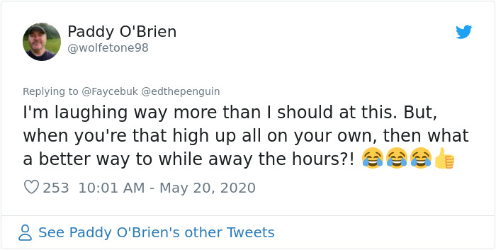 Crane Operator Annoys Sunbather By Casting A Shadow On Him Crane Operator Annoys Sunbather By Casting A Shadow On Him
