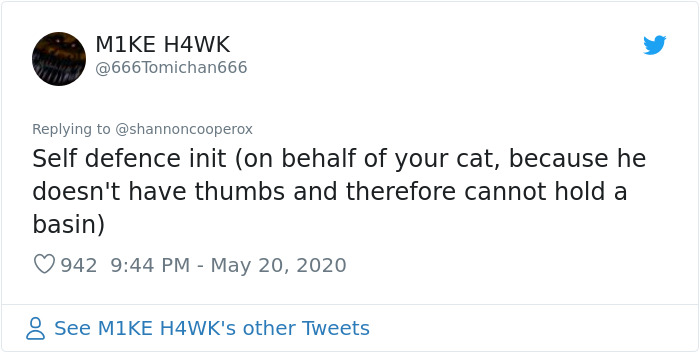 Kid Pours Water Over Woman's Cat So She Teaches Him A Lesson By Pouring A Basin Of Water On Him Kid Pours Water Over Woman's Cat So She Teaches Him A Lesson By Pouring A Basin Of Water On Him