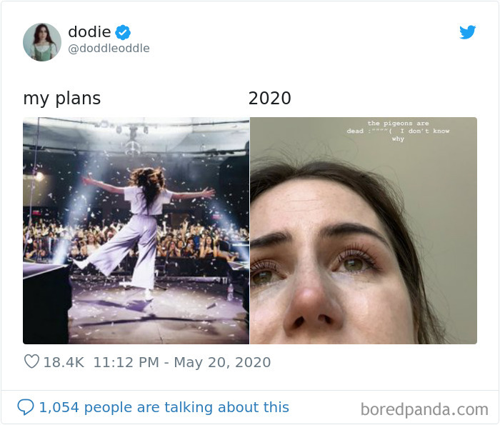 My-Plans-vs.-2020-Meme