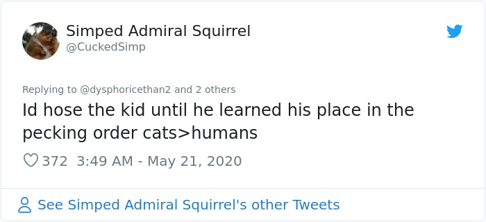 Kid Pours Water Over Woman's Cat So She Teaches Him A Lesson By Pouring A Basin Of Water On Him Kid Pours Water Over Woman's Cat So She Teaches Him A Lesson By Pouring A Basin Of Water On Him