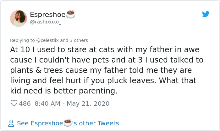 Kid Pours Water Over Woman's Cat So She Teaches Him A Lesson By Pouring A Basin Of Water On Him