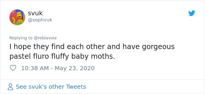 Woman Notices A Fancy Moth In Her Backyard, Turns Out It's The Cosmoth