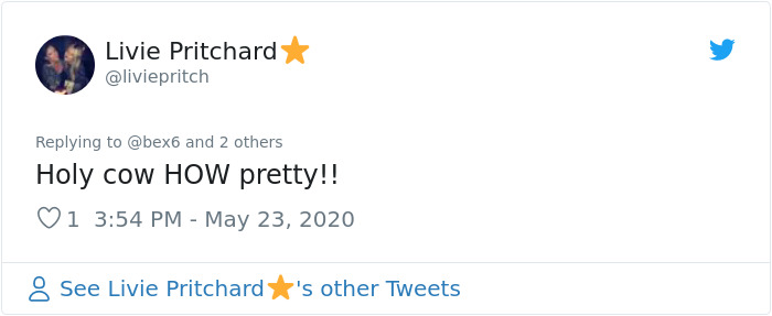 Woman Notices A Fancy Moth In Her Backyard, Turns Out It's The Cosmoth Woman Notices A Fancy Moth In Her Backyard, Turns Out It's The Cosmoth