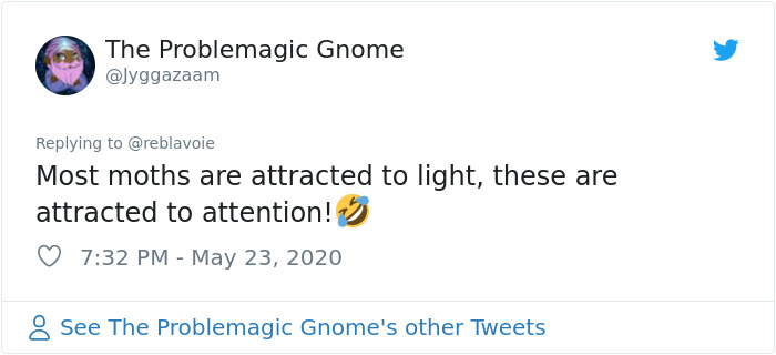 Woman Notices A Fancy Moth In Her Backyard, Turns Out It's The Cosmoth Woman Notices A Fancy Moth In Her Backyard, Turns Out It's The Cosmoth