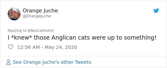 Pussycat Disappears Inside A Priest's Cassock, Hilarious Comments Ensue Pussycat Disappears Inside A Priest's Cassock, Hilarious Comments Ensue