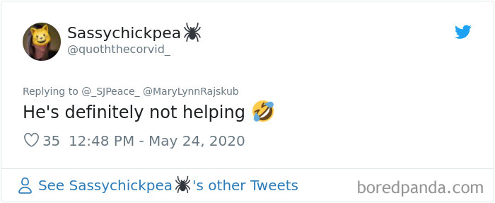 This Crow Appears To Be Helping A Hedgehog Cross The Street This Crow Appears To Be Helping A Hedgehog Cross The Street