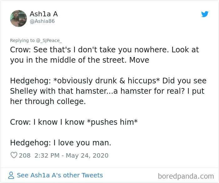 This Crow Appears To Be Helping A Hedgehog Cross The Street