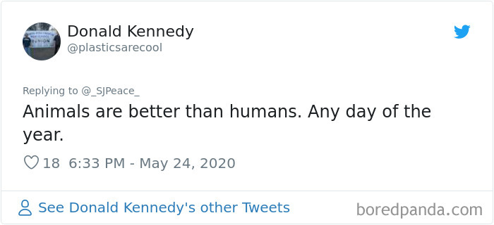 This Crow Appears To Be Helping A Hedgehog Cross The Street This Crow Appears To Be Helping A Hedgehog Cross The Street