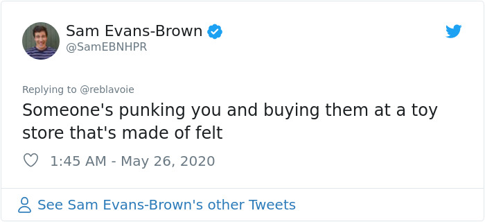 Woman Notices A Fancy Moth In Her Backyard, Turns Out It's The Cosmoth