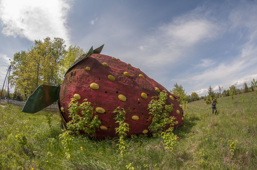 We Captured This Huge, Abandoned Strawberry Twice - In The Springtime And In The Wintertime. The Difference Is Significant! (10 Pictures) We Captured This Huge, Abandoned Strawberry Twice - In The Springtime And In The Wintertime. The Difference Is Significant! (10 Pictures)