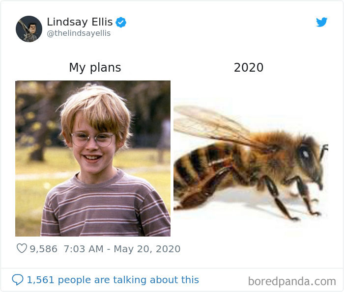 My-Plans-vs.-2020-Meme