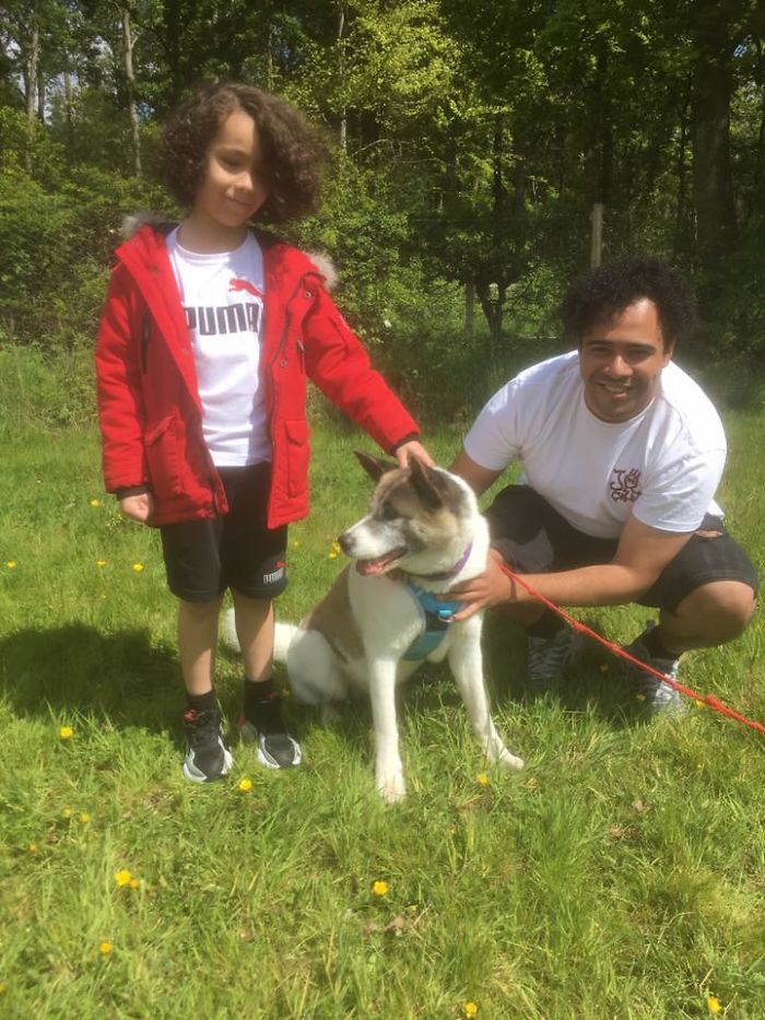 Dog Owner Searches For A Replacement Dog But Instead Finds His Lost Dog Who Was Stolen A Year Ago Dog Owner Searches For A Replacement Dog But Instead Finds His Lost Dog Who Was Stolen A Year Ago