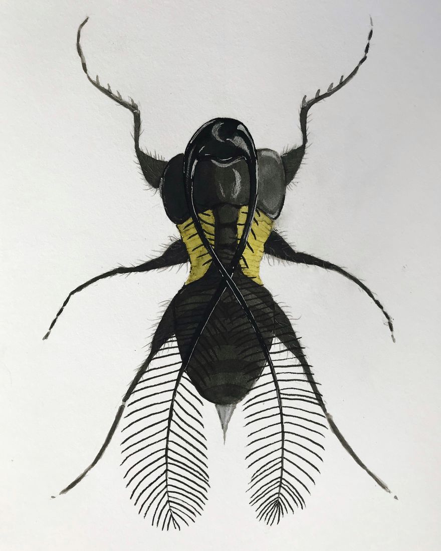 I Made These Surreal Insects Combining Only Black And Yellow Watercolor