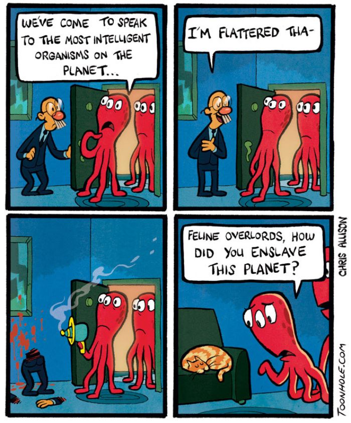 Most Intelligent Organisms On The Planet