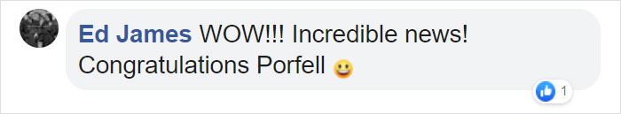 Sanctuary For Unwanted Animals Takes In A Pair Of Rare Rusty-Spotted Cats, Reveals They Have Two Adorable Babies