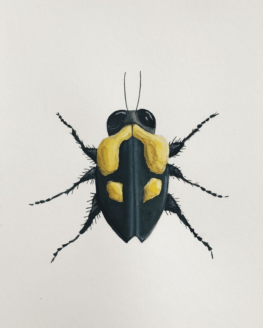 I Made These Surreal Insects Combining Only Black And Yellow Watercolor