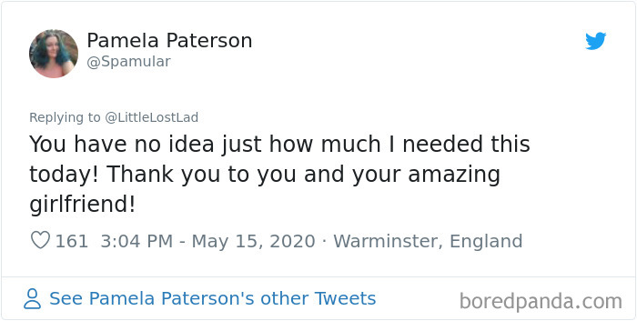 Cat Gets Injured And Can't Leave Home So His Owner Makes Him Art Gallery To Cheer Him Up Cat Gets Injured And Can't Leave Home So His Owner Makes Him Art Gallery To Cheer Him Up