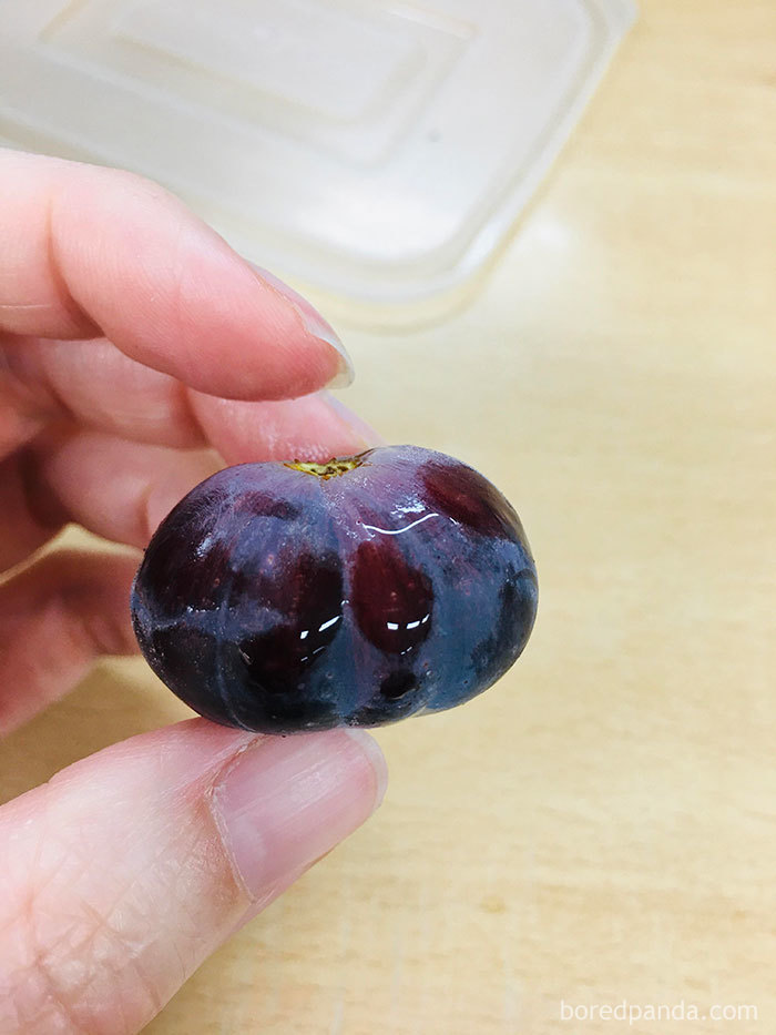 Giant-Produce-Food-Delivery-Quarantine