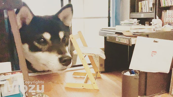 Handmade-Miniatures-Mozu-Studios