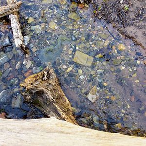 hollymarchant_1 avatar