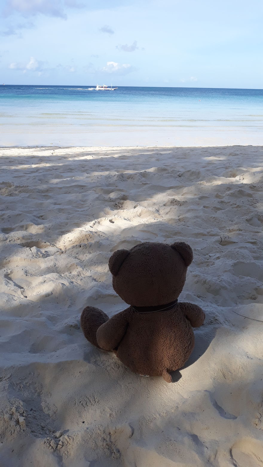 The Adventures Of Milo The Bear