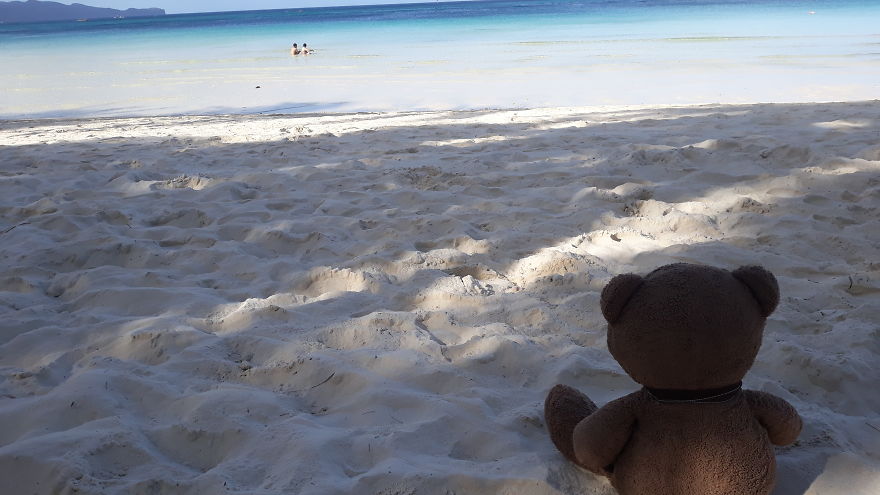 The Adventures Of Milo The Bear